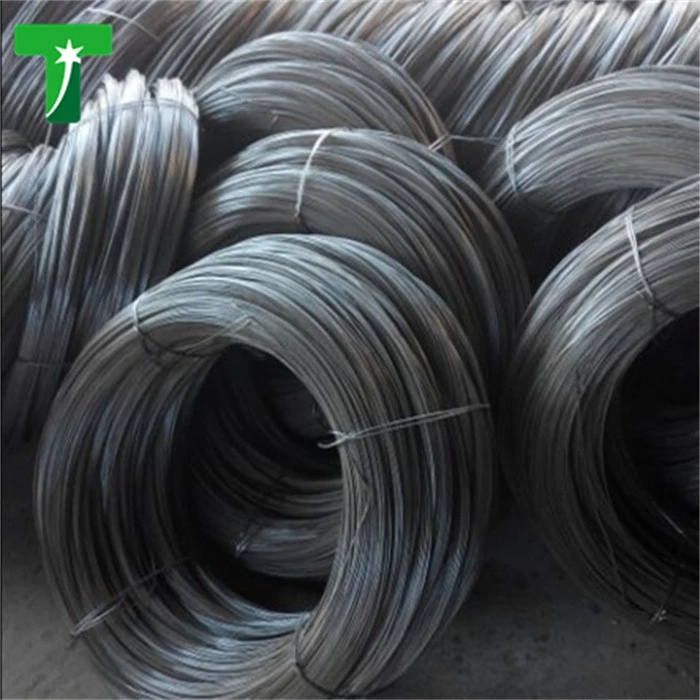 ASTM Hot Dipped Galvanized Steel Wire